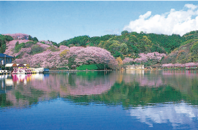 藤枝　蓮華寺